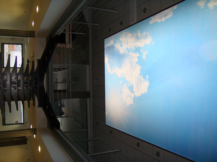 REFORMA OFICINAS Y EXPOSICIÓN