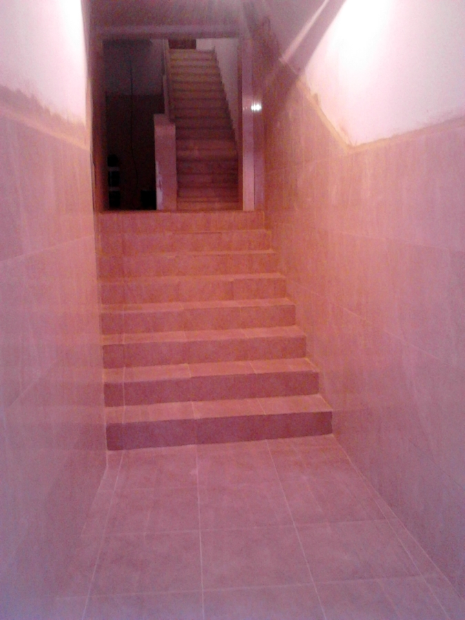 REFORMA PATIO EN FINCA