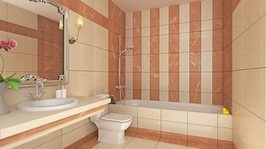 Reforma de un baño.