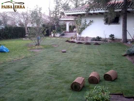 Rehabilitación de césped con tepes