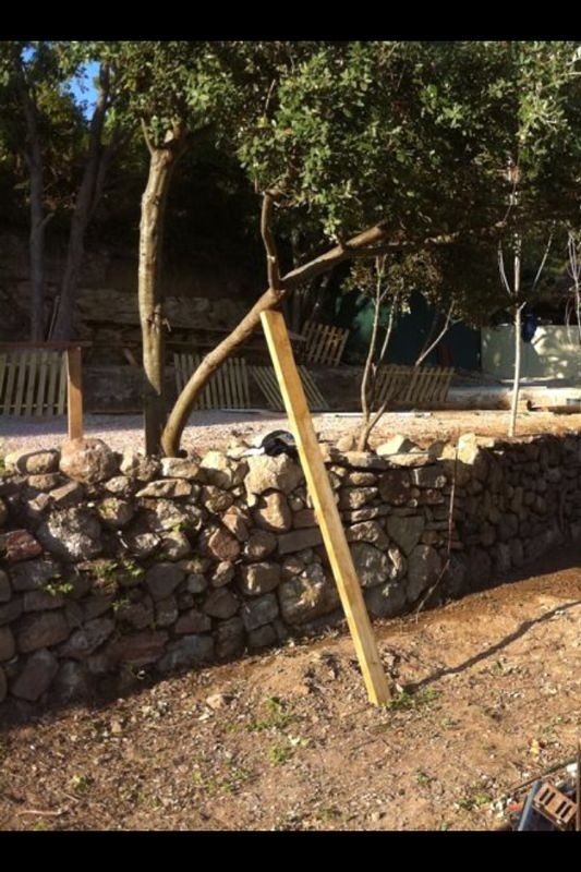 rehabilitar muro de piedras y ajardinar espacio