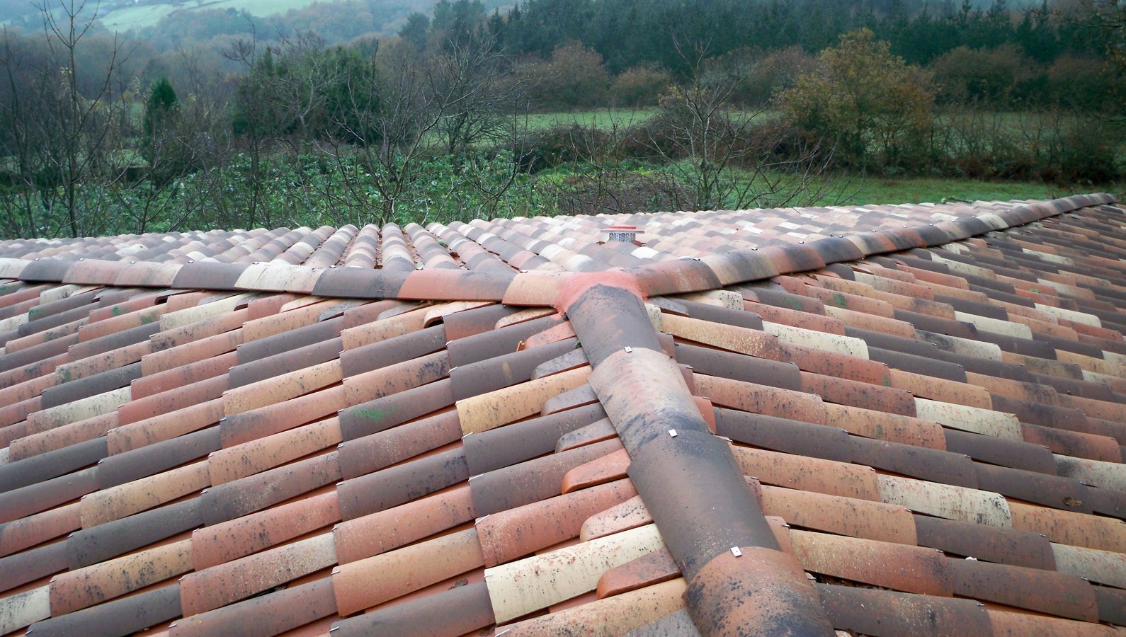 REMATE DE CUMBRERA JACOBEA