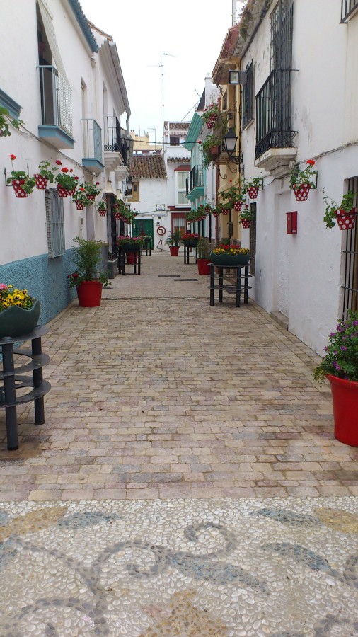 Remodelación completa de la calle troyano (Estepona).