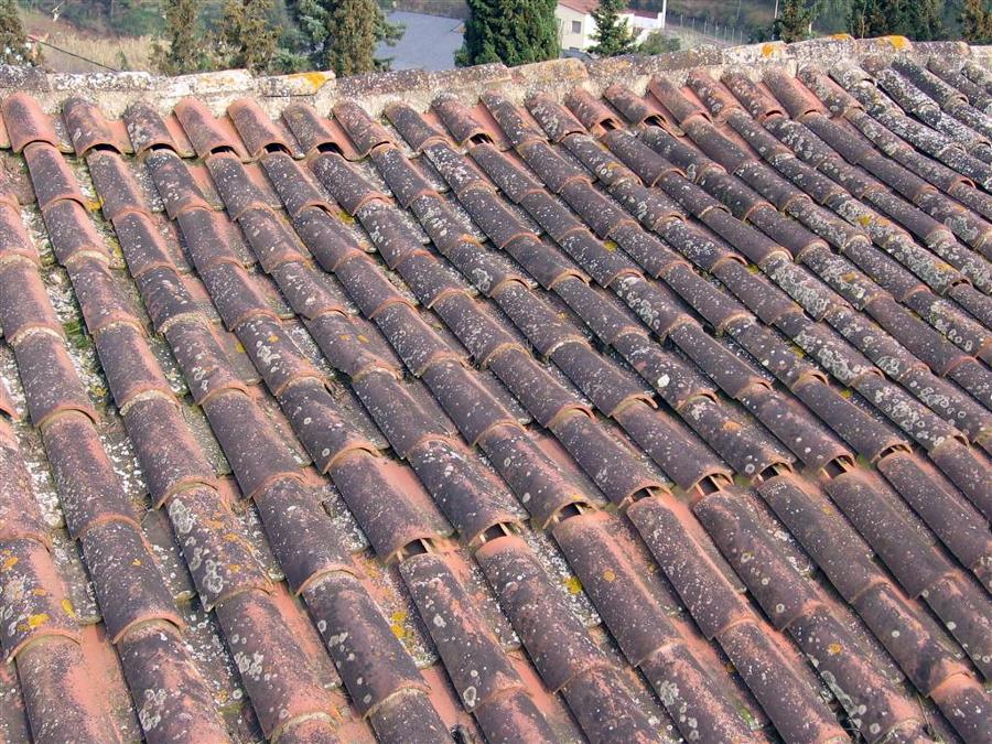 Reparacion Cuviertas