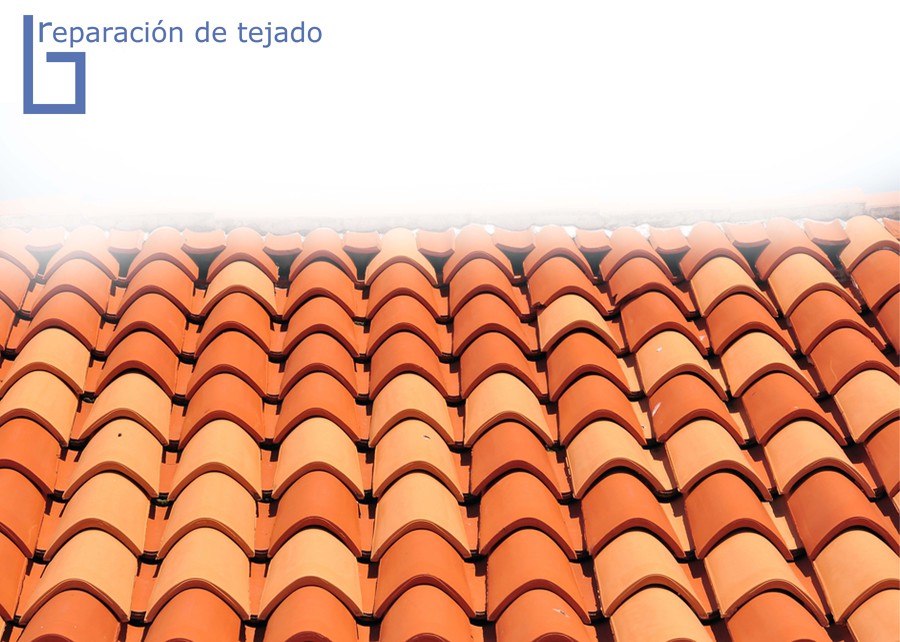 Reparación de tejado