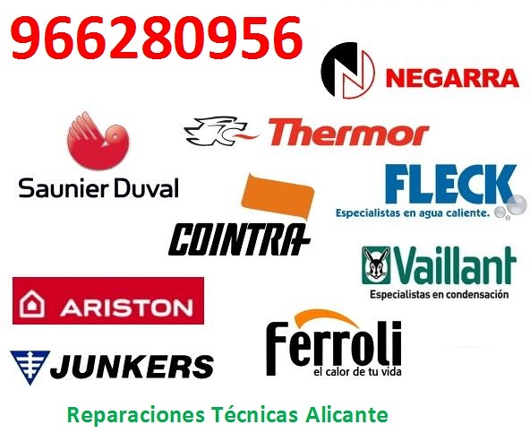 Reparación de Termos Alicante