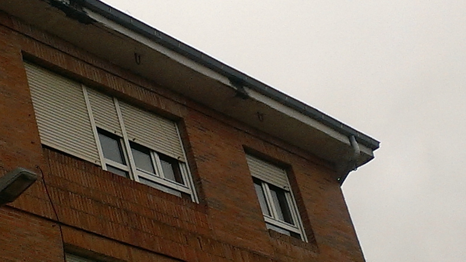 Reparacion tejados y aleros