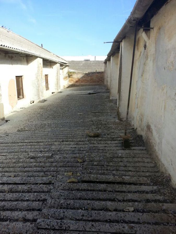 RETIRADA DE CUBIERTA URALITA