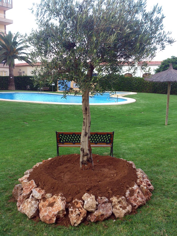 Rocallas para plantas