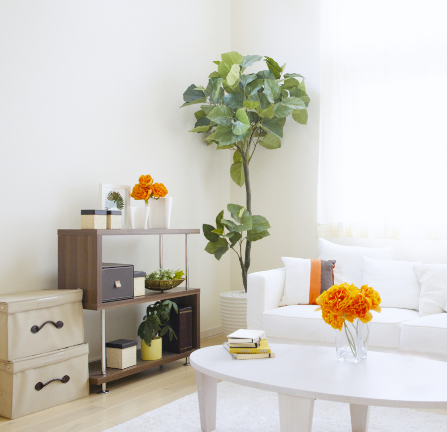 La limpieza es nuestro compromiso