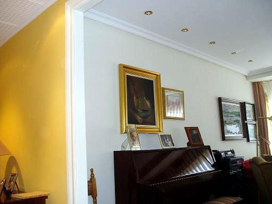 Salón Moldura Y Pintura Plastica