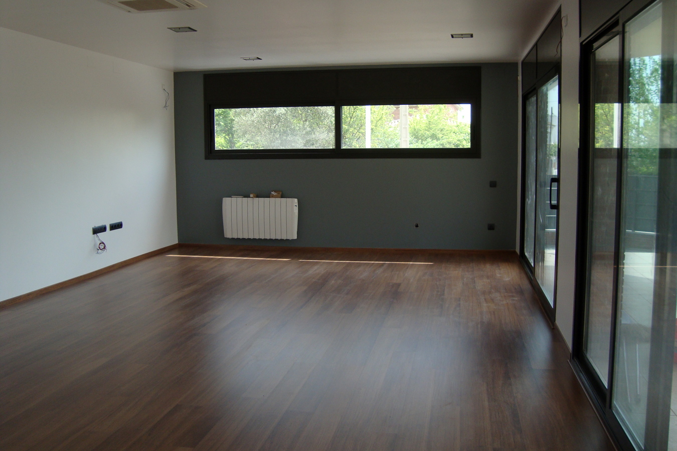 salon y parquet