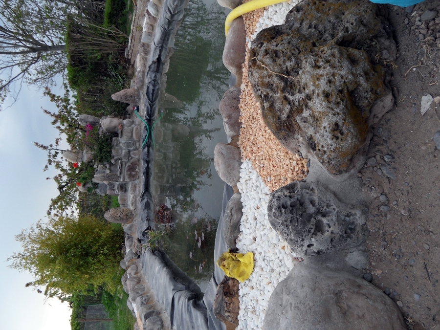 SAM_0034Foto0133Conversión de una charca en finca paso4