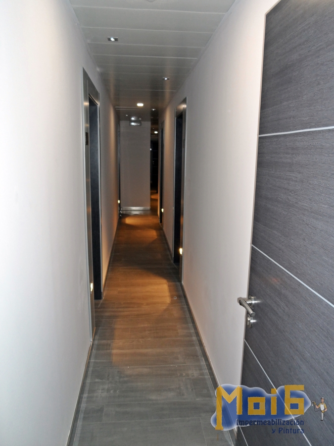 Pintura Plástica mate en colores.