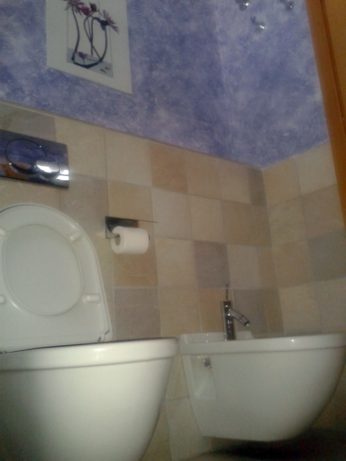 Sanitarios suspendidos