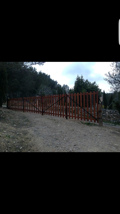 Barreras de acebuche de 4 hojas en cuña