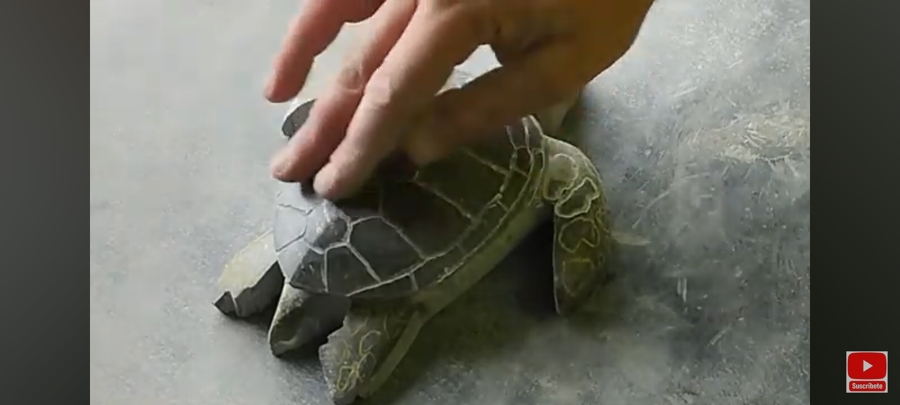 Tortuga tallada en cantería