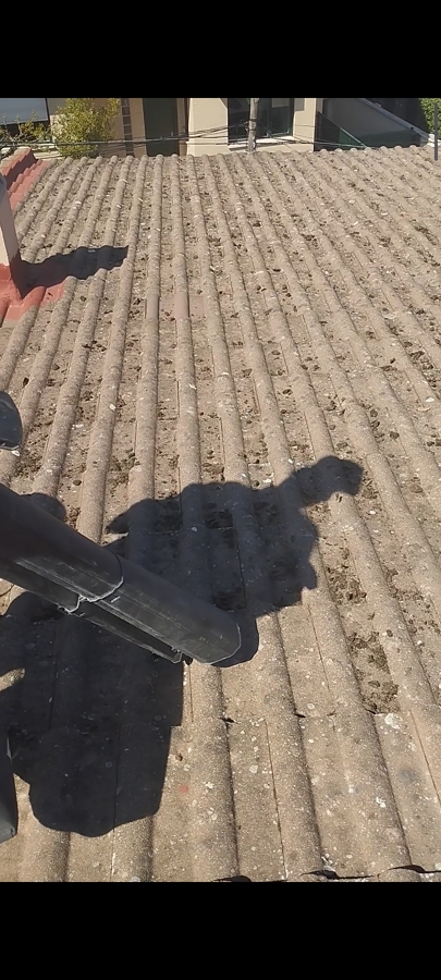 Limpieza de cubierta