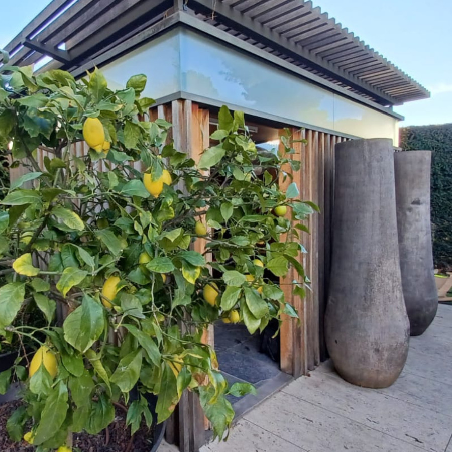 Zona exterior vivienda