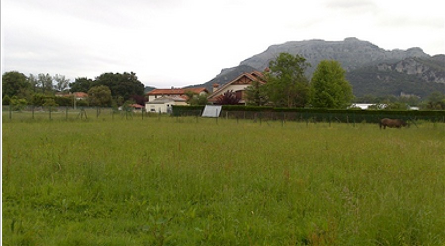 Valoraciones y tasaciones