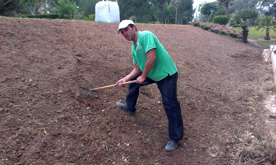 SEMBRANDO CESPED 800MT2