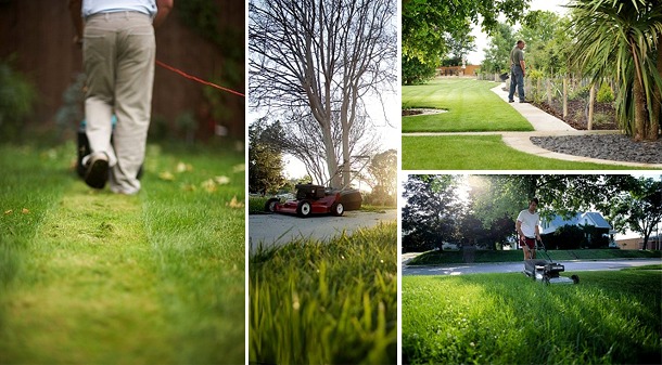 servicio de jardineria