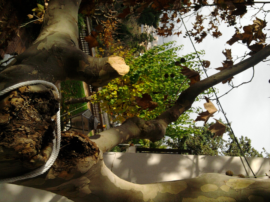 SERVICIOS DE JARDINERÍA.es