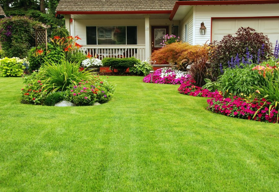 Servicios de Jardinería