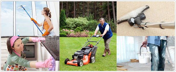 Servicios Integrales