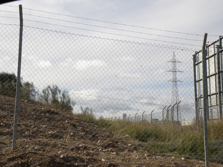 Simple torsión con espino