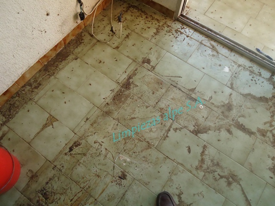 SINDROME DE DIOGENES