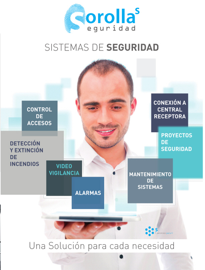 SISTEMAS DE SEGURIDAD