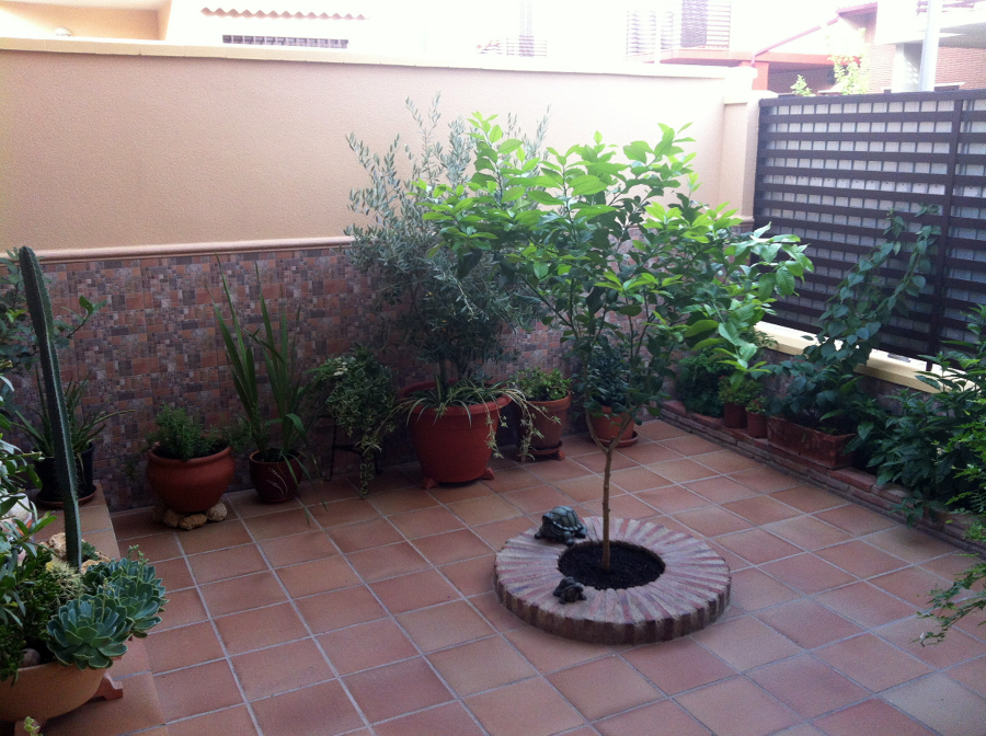 SOLADO DE PATIO, ZOCALO Y ARRIATE