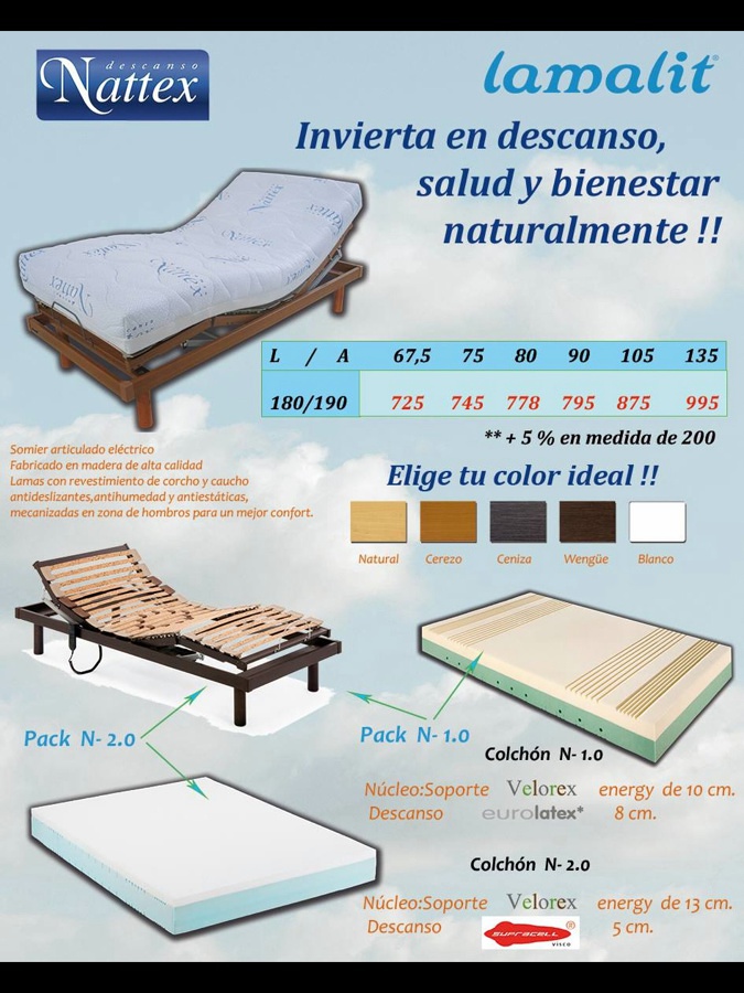 Somier articulado eléctico