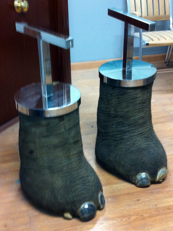 soportes en acero inox (patas de elefante)