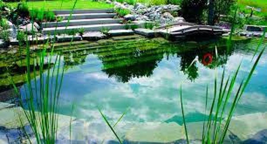 Picina lago