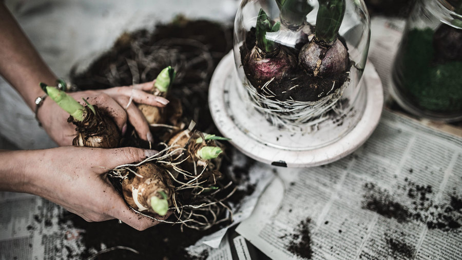 Desatascos en general en Mallorca