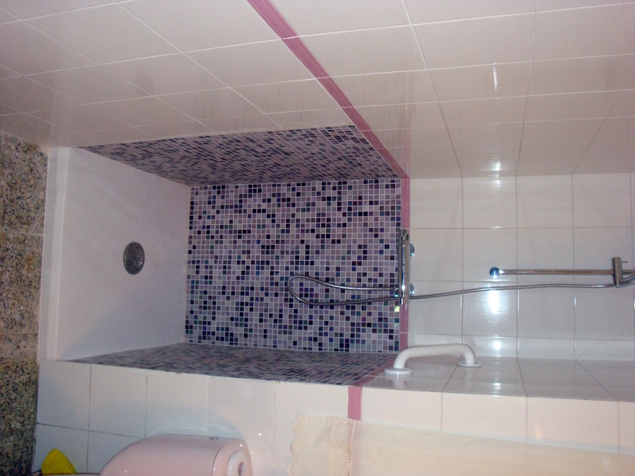 SRA. MERCEDES ANGUITA/ C/ ALMADÉN