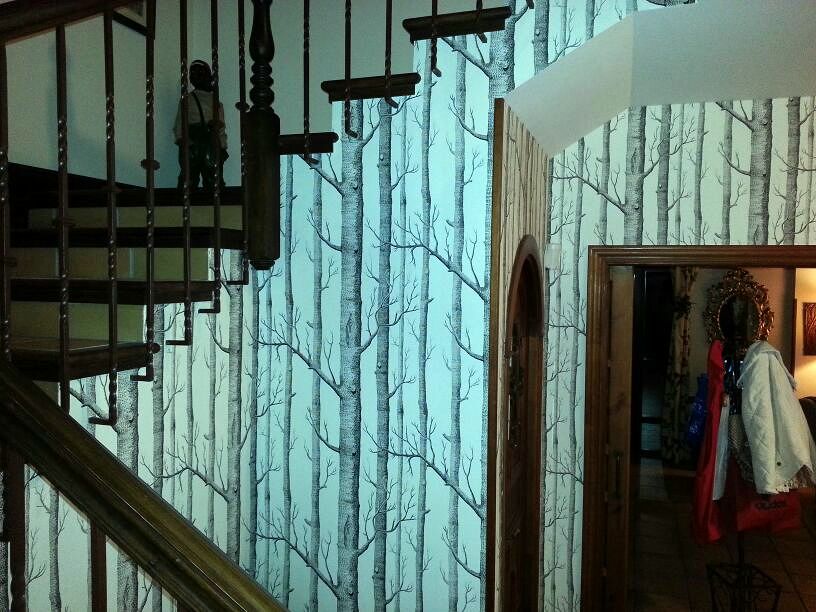 SUBIDA ESCALERA ESTAMPADO