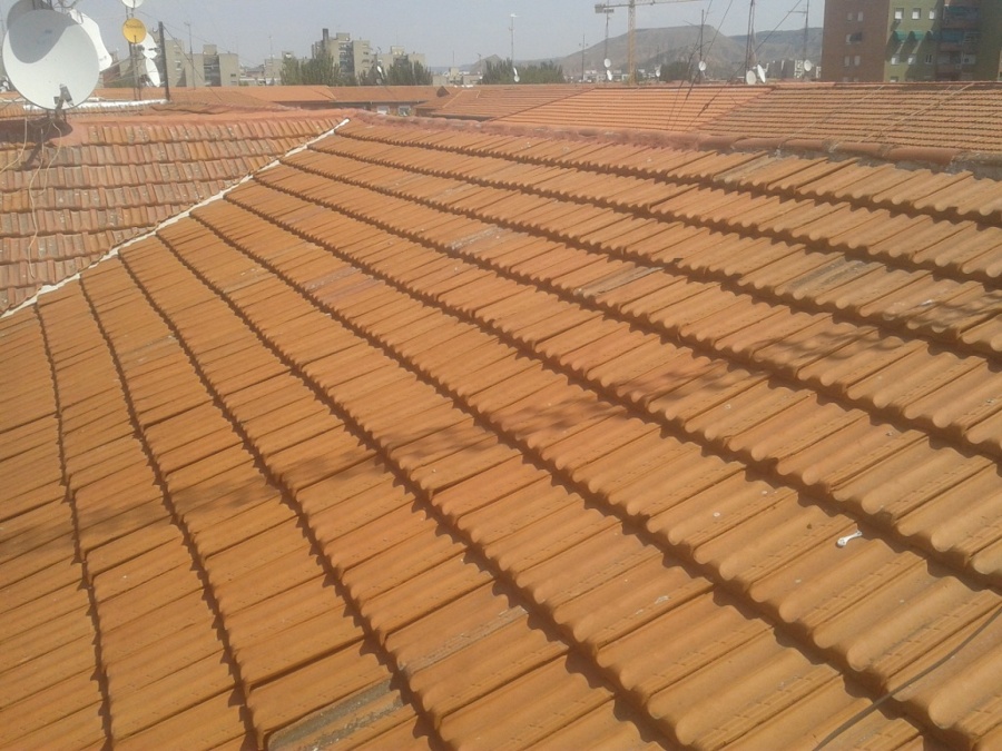 Sustitución de teja plana en tejado