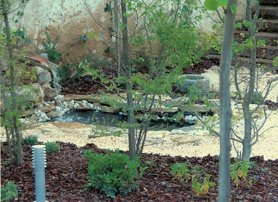 jardin paisajista