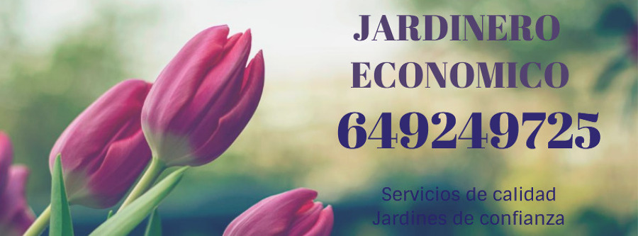 JARDINERO PROFESIONAL