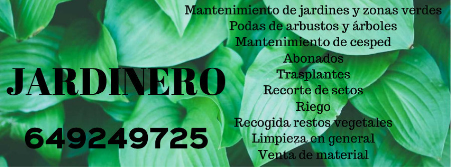 JARDINERIA BARATA Y CALIDAD