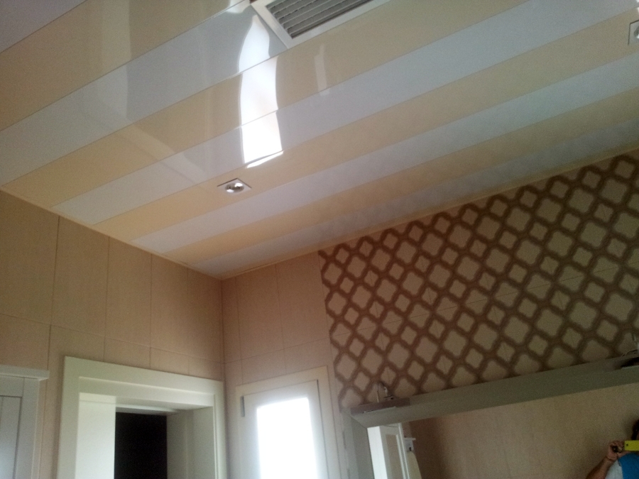 Techo de aluminio de lamas registrables.