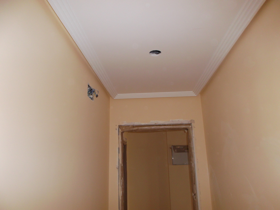 falso techo pladur y pintura