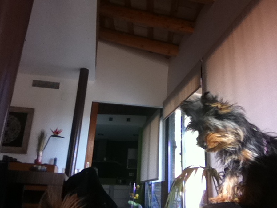 Techos antiguos vistos.