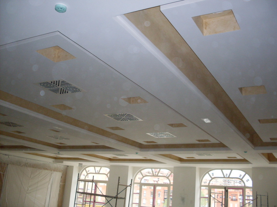 TECHOS PINTURA PLASTICA Y ARTECO.