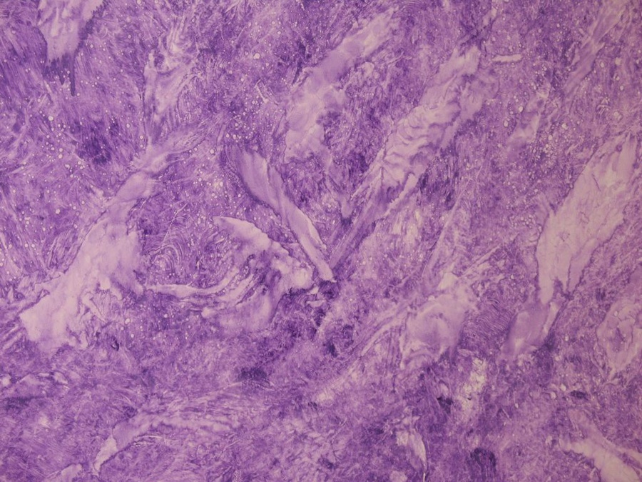 Técnica con óleos.