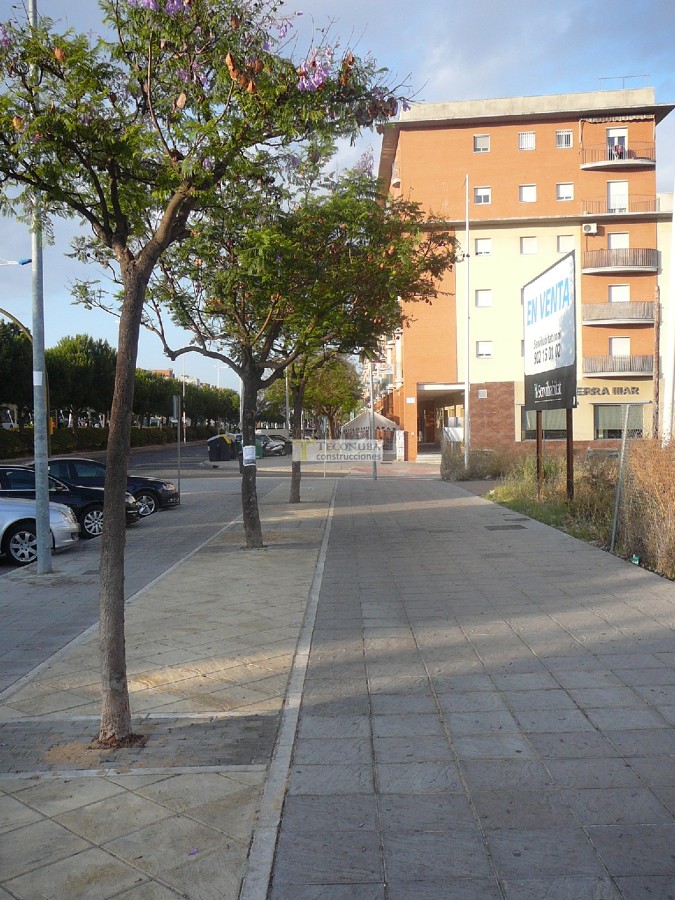 Acerado en Avenida Andalucía (Huelva)