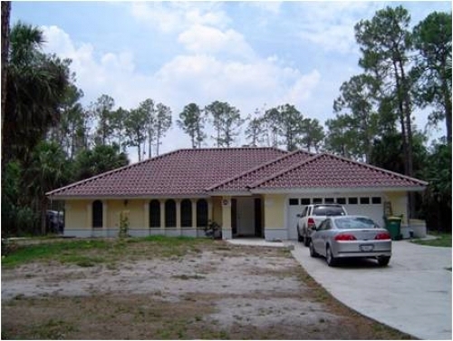 Teja plástica diseño tradicional